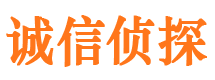 内丘找人公司